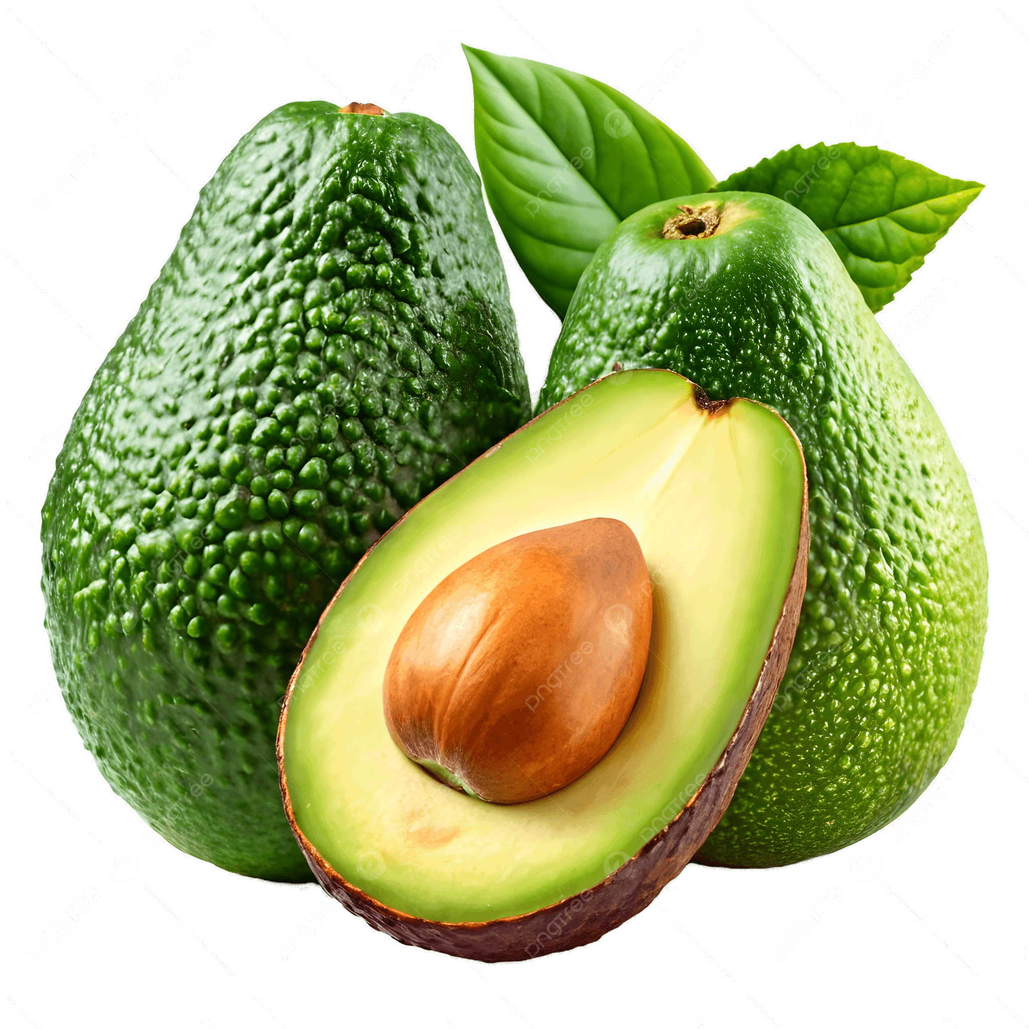 Avocado_0