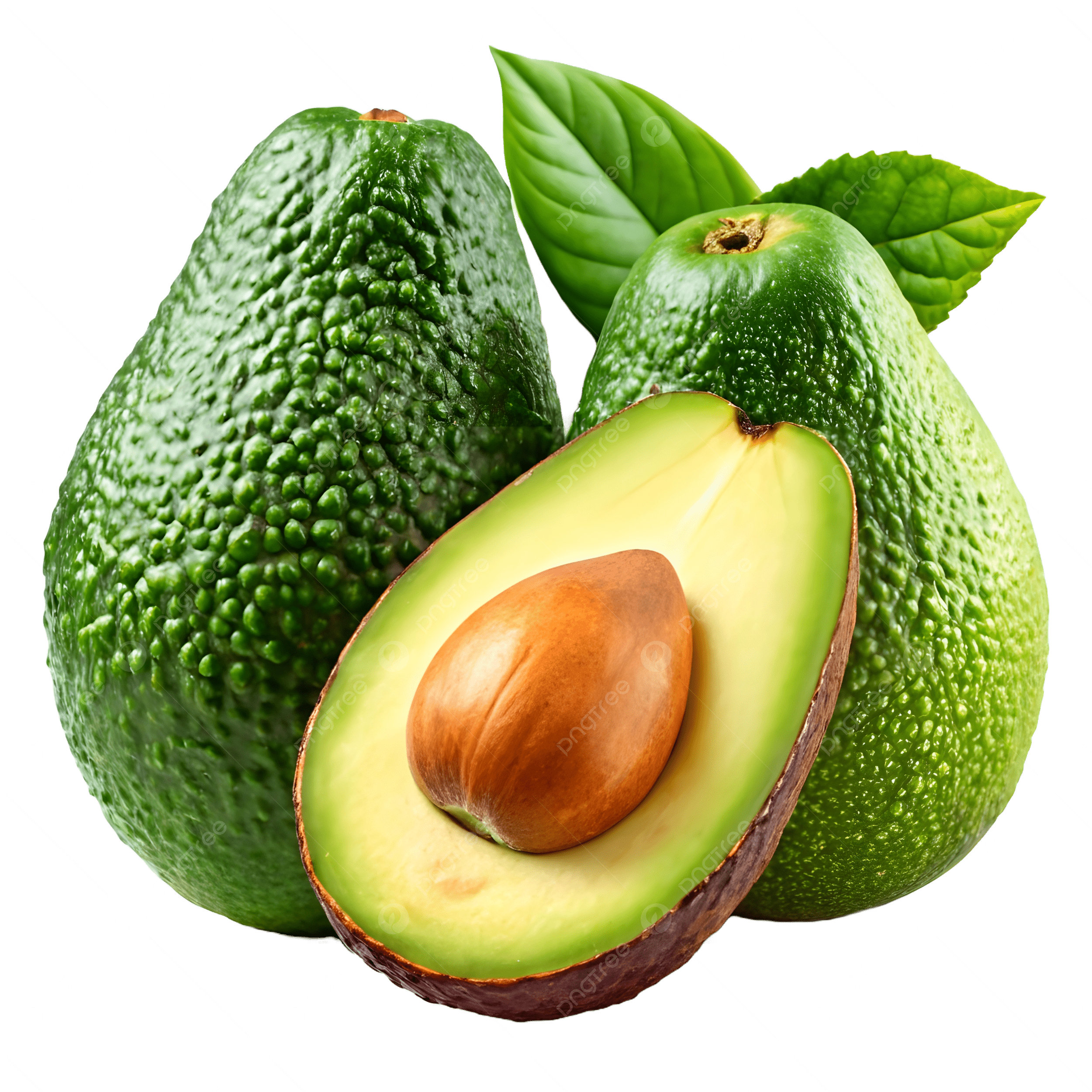 Avocado
