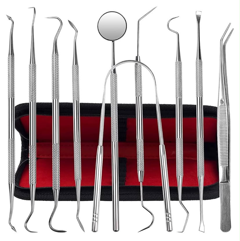 10 Pack Dental Tools (Kit de Prophylaxis)