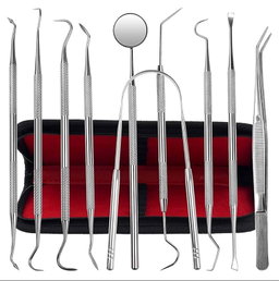 10 Pack Dental Tools (Kit de Prophylaxis)