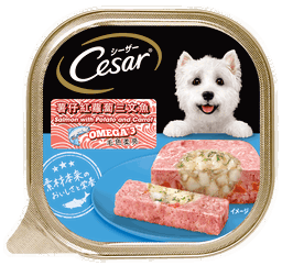 Cesar Wet Dog Food Tray Range