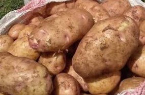 Potatoes 🥔