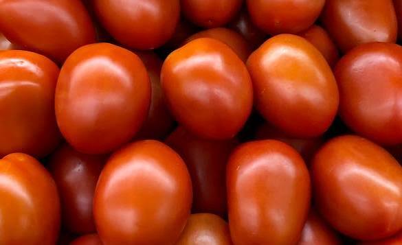 Tomatoes
