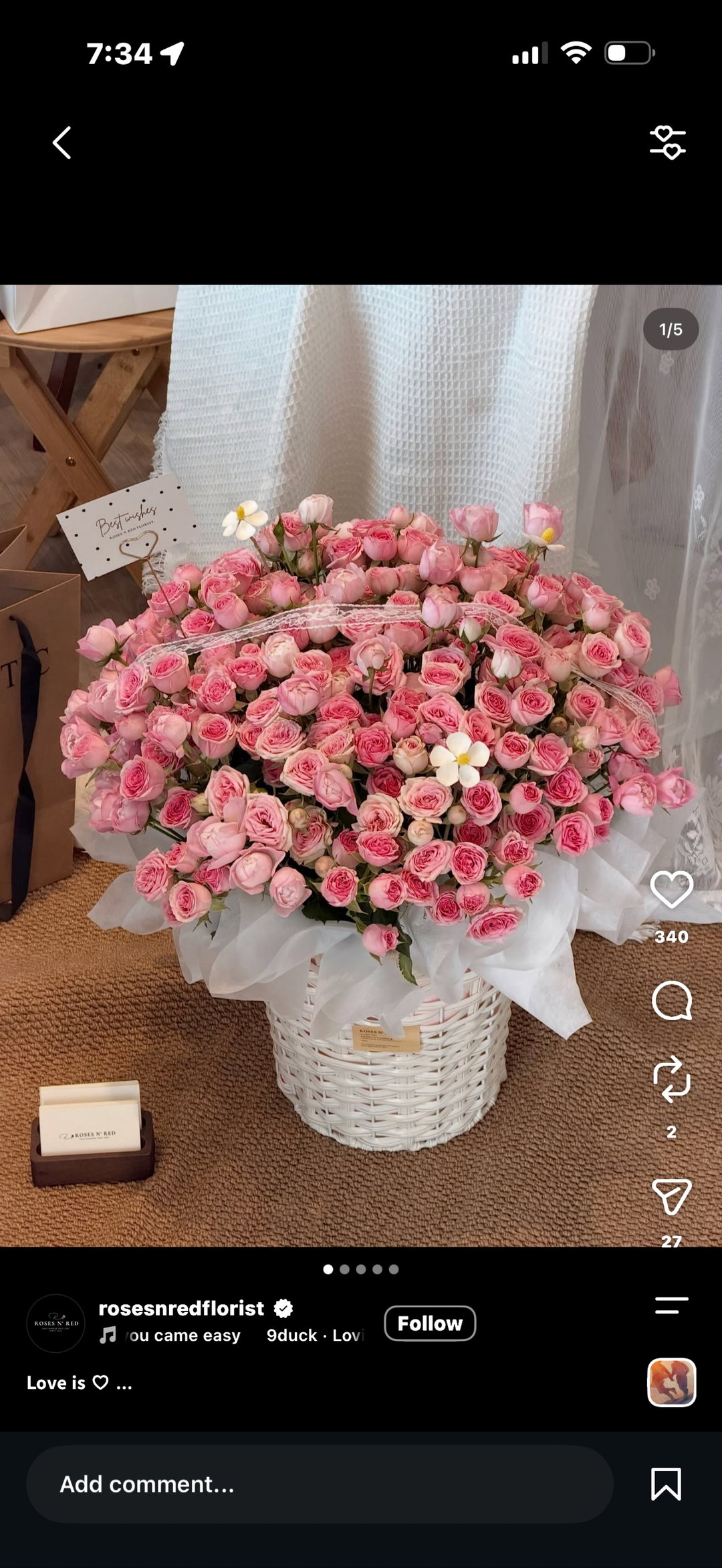 Rose - Roselle