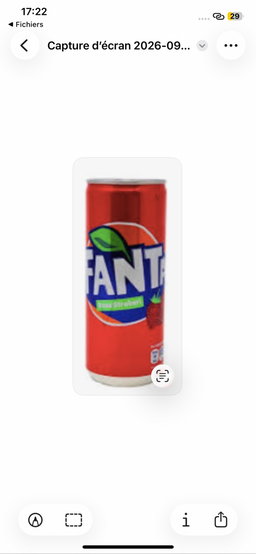 Canette Fanta indenesia Fraise 25cl