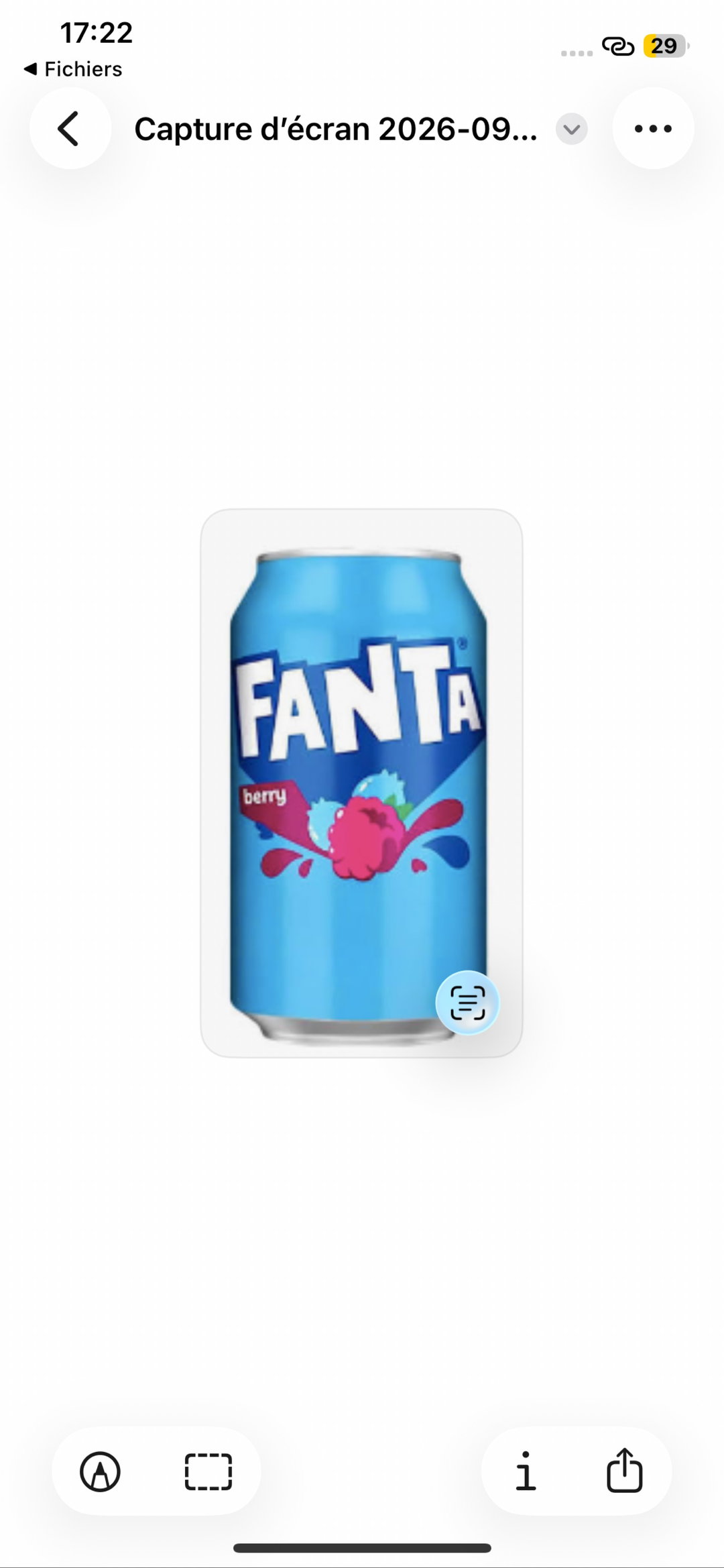 Canette Fanta Berry 25cl