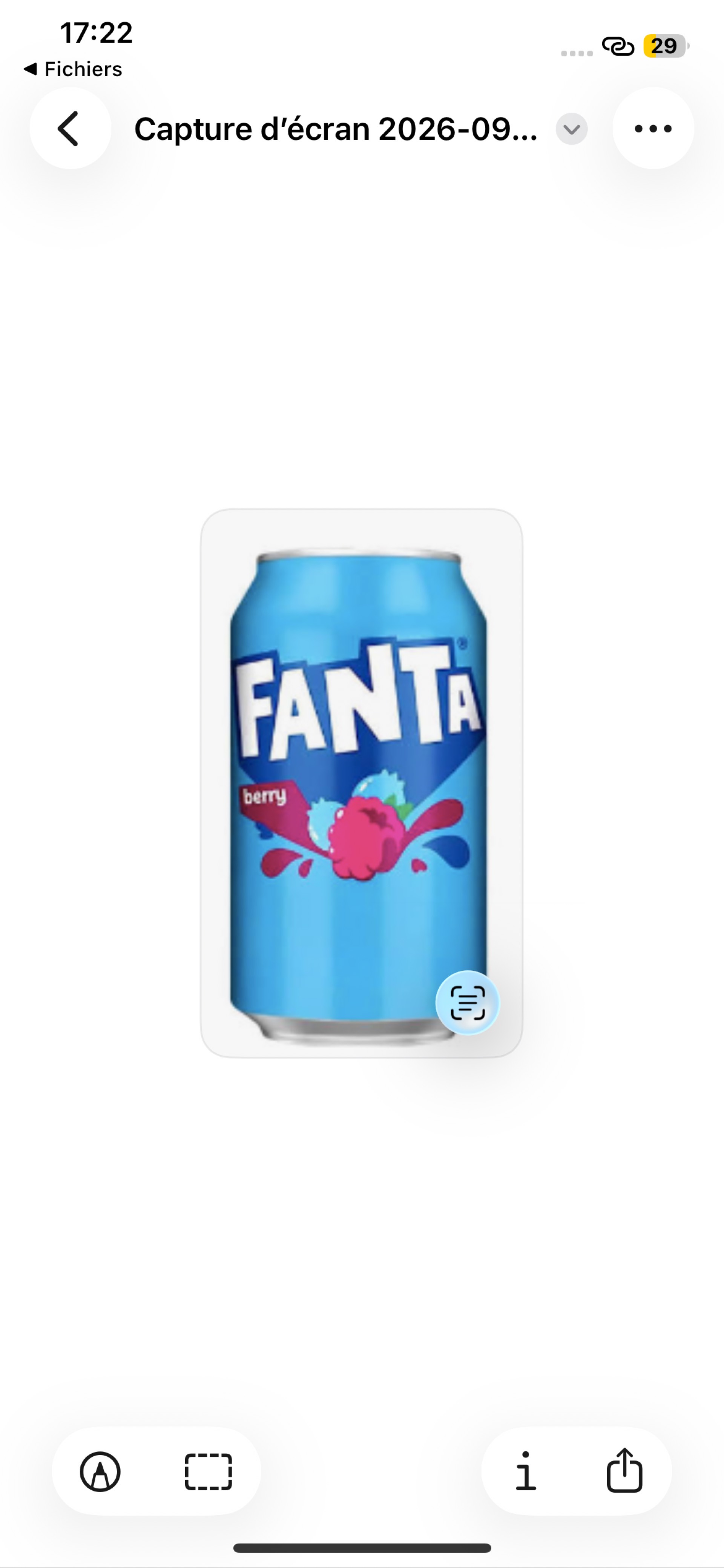 Canette Fanta Berry 25cl_0