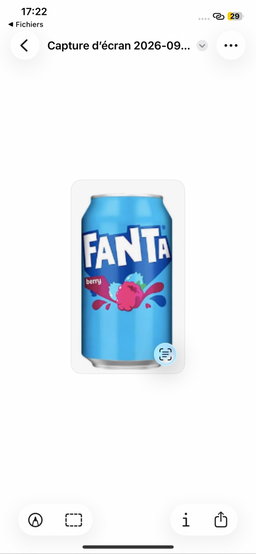 Canette Fanta Berry 25cl