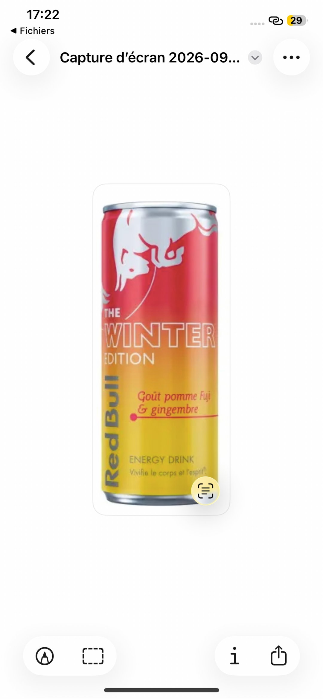 Canette Redbull Winter édition Ginger 25cl