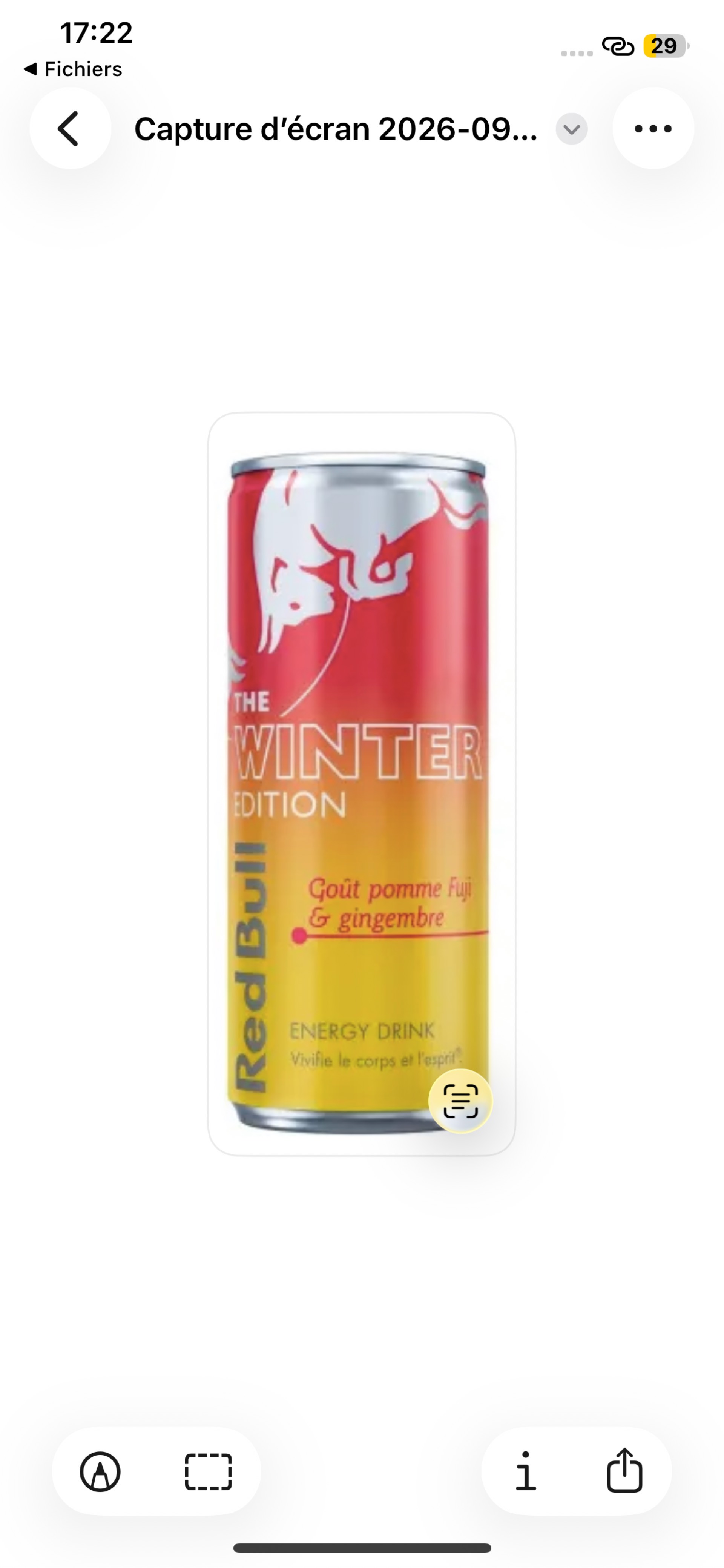Canette Redbull Winter édition Ginger 25cl_0