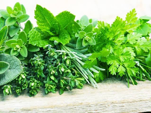 Fresh Herbs🌿🍃