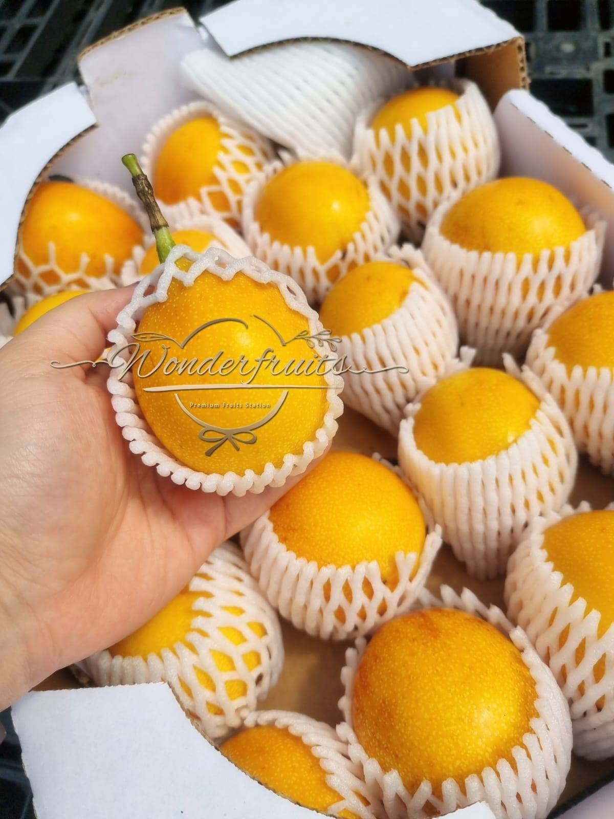 Ecuador Passionfruits 3pcs XXL_0