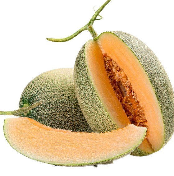Hami Melon (Crunhy&Sweet) 1pcs (Extra Large)