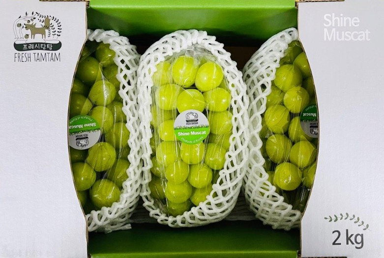 Korea Shine Muscat 700g+- 1pack_0