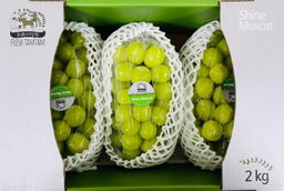 Korea Shine Muscat 700g+- 1pack
