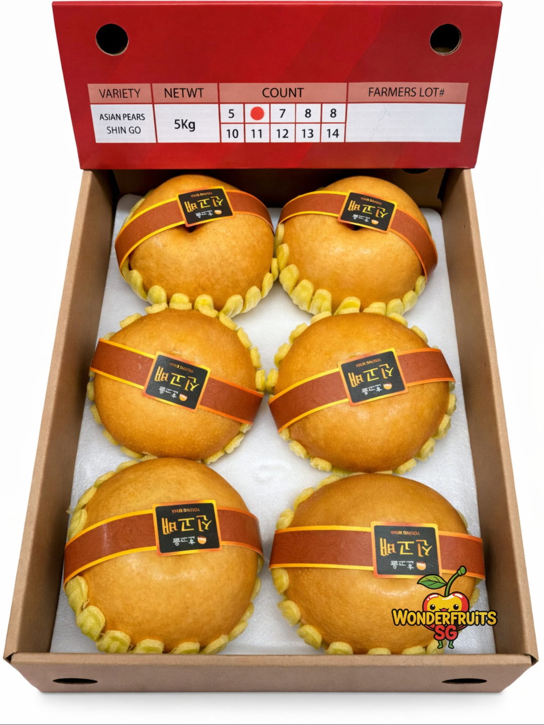 Korea Brown Label Singo Pear 2pcs (XXL)