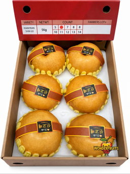 Korea Brown Label Singo Pear 2pcs (XXL)