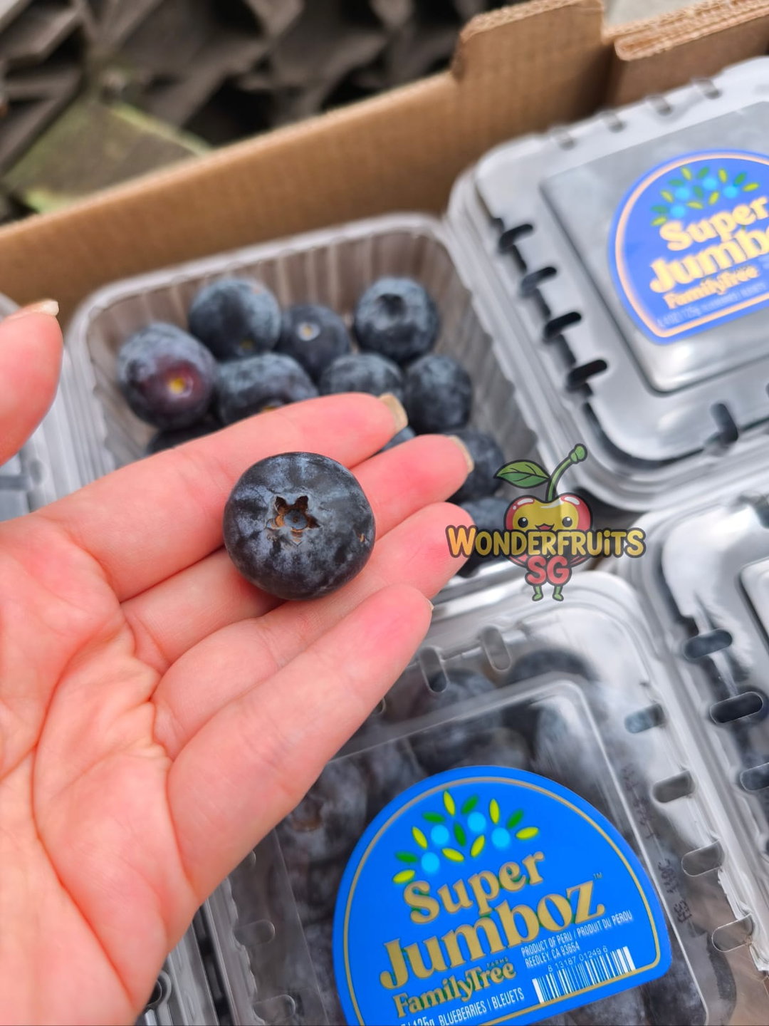 Super Jumbo Blueberries 125g 1Punnet