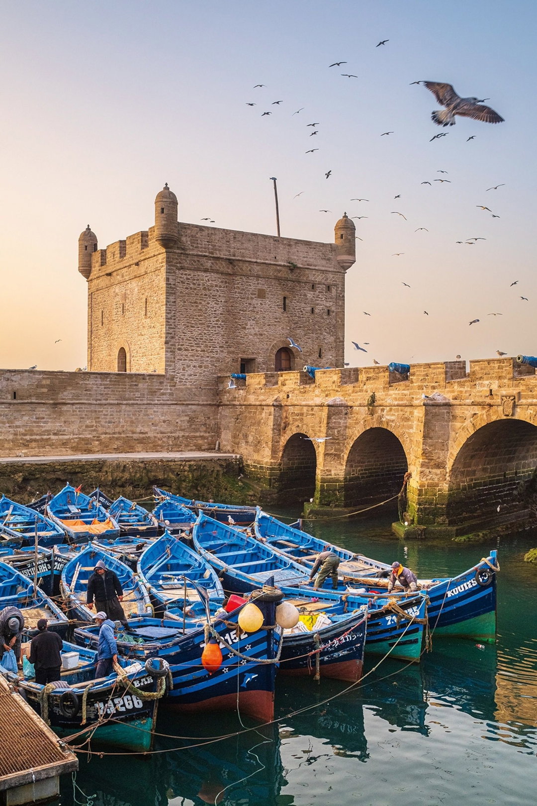 Essaouira - 1 to 4 pax