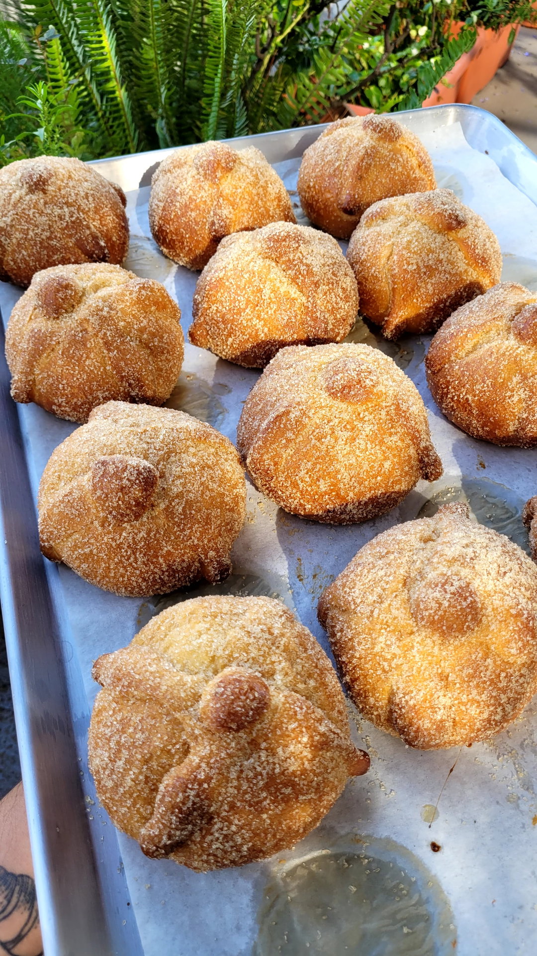 Pan de muerto 
