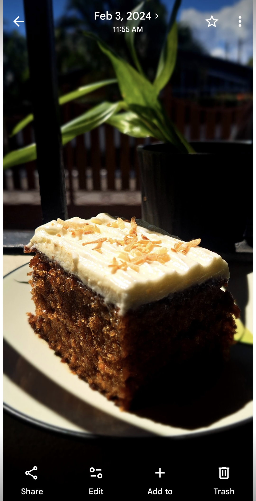 Carrot Cake 