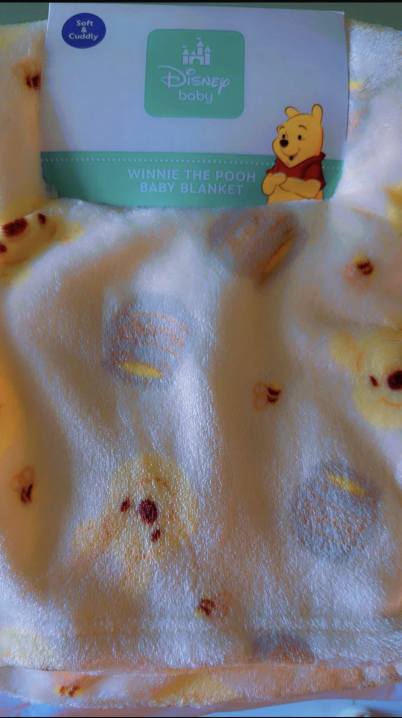 Disney Winnie the Pooh Blanket_0