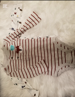Fox 2 pc. Long sleeve onesies