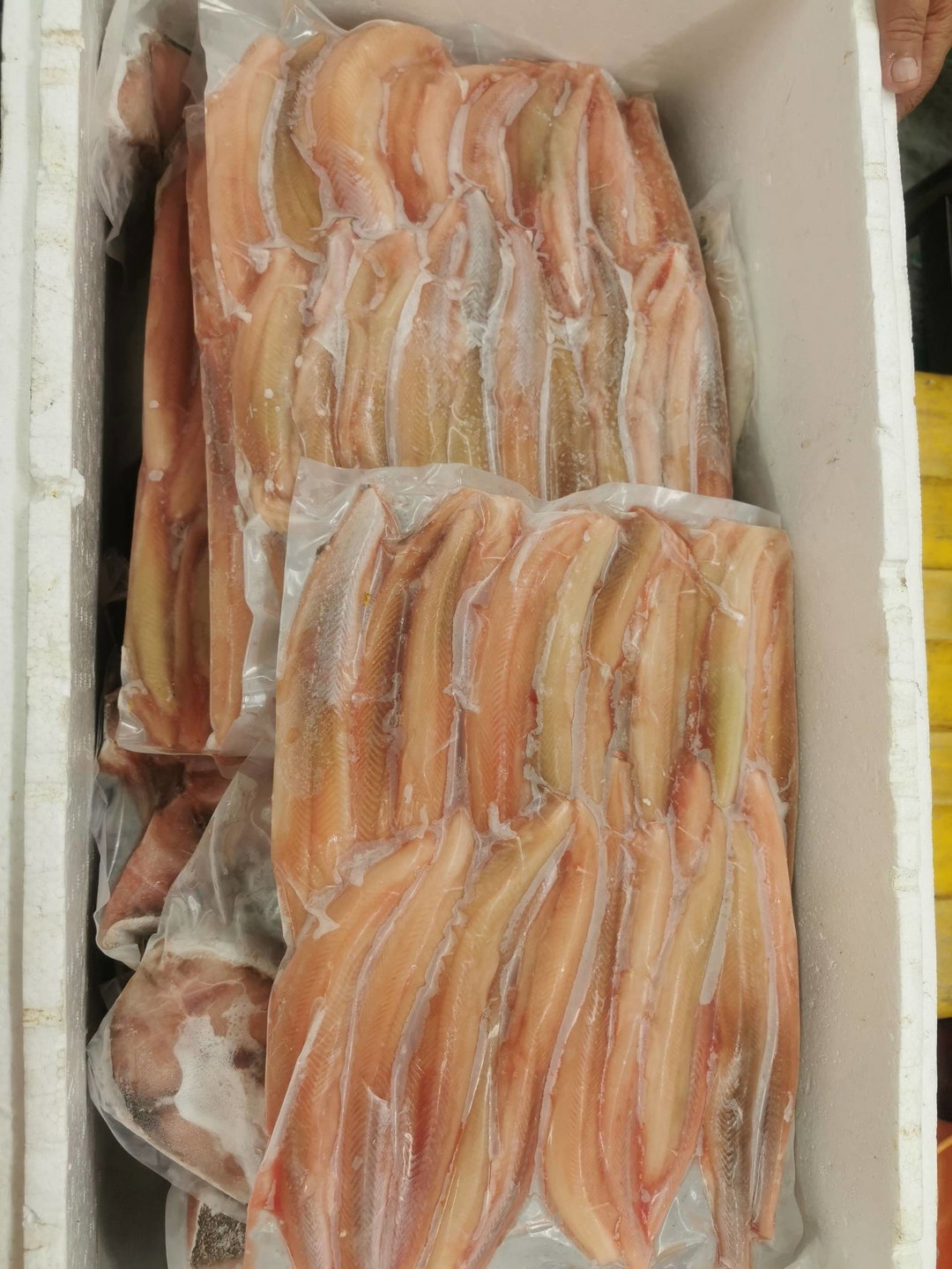 沙鱼肉-500g