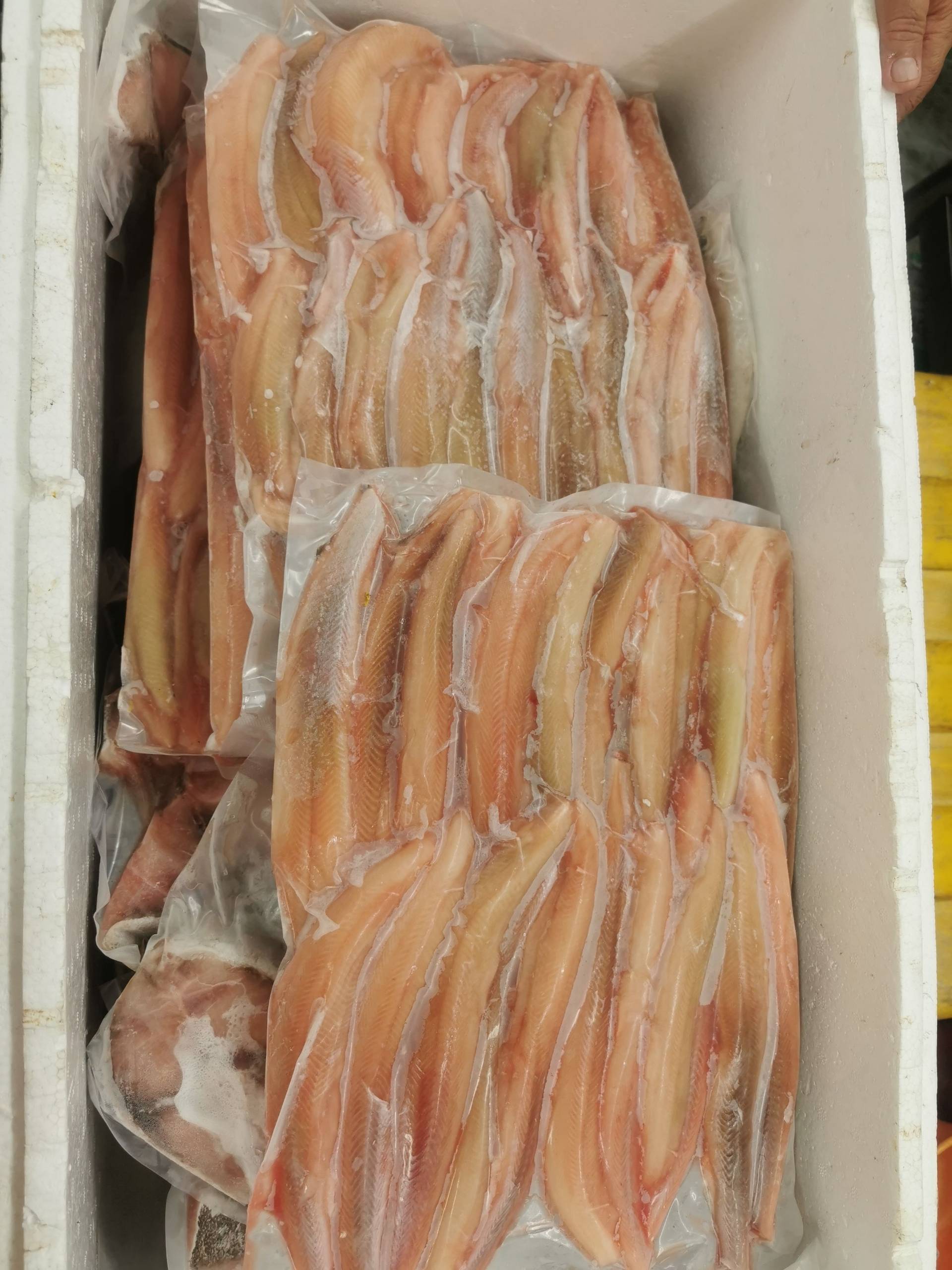 沙鱼肉-500g_0