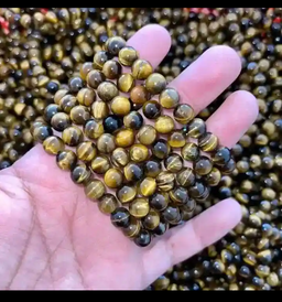 Oeil du Tigre