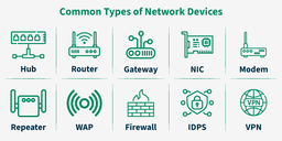 🔌 2. Networking Equipment