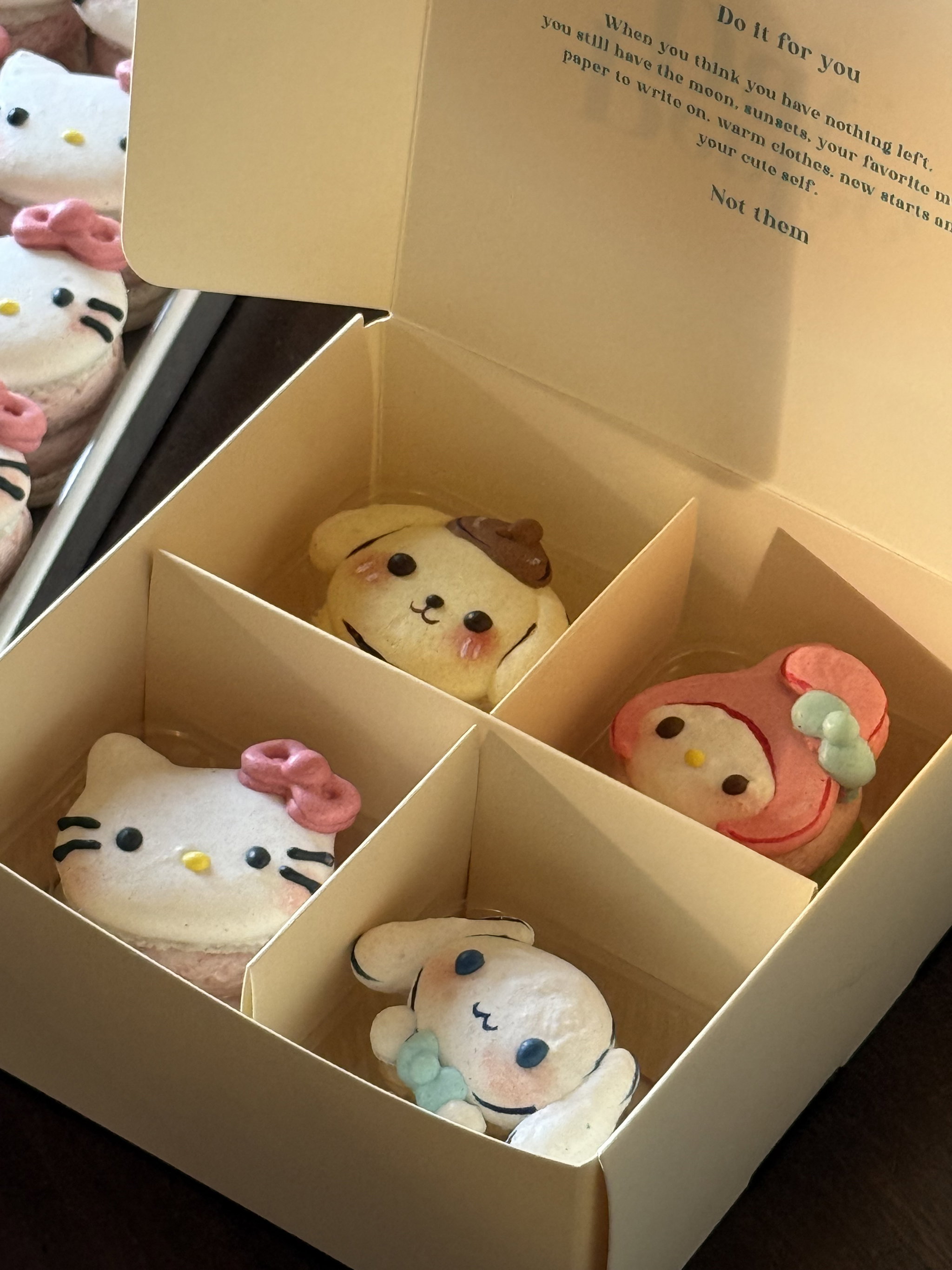 Sanrio series macaron (set of 4)_1