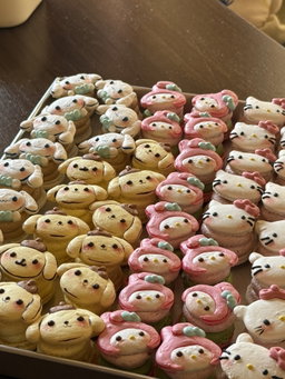 Sanrio series macaron (set of 4)