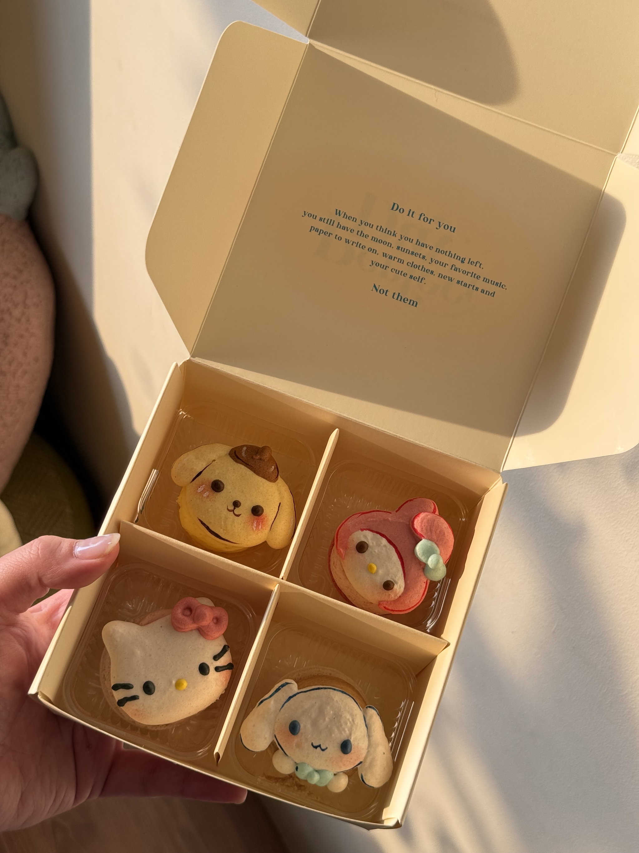 Sanrio series macaron (set of 4)_4