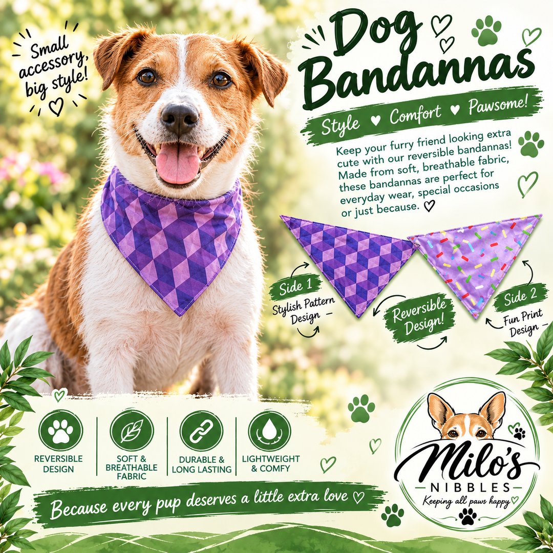 Dubbel Sided Purple Bandanna 