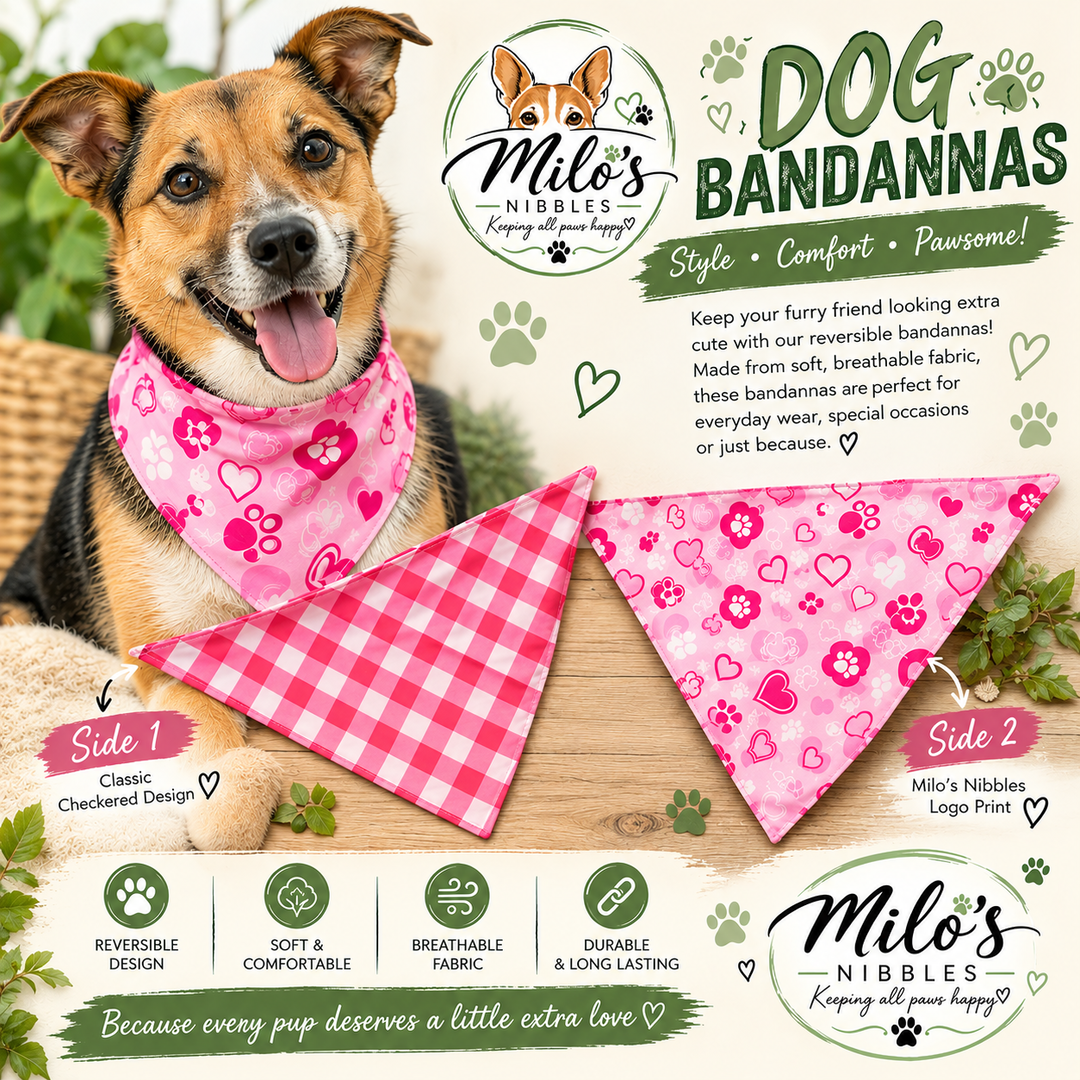 Dubbel Sided Pink Bandanna 