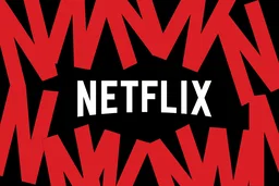 Netflix - Private Screen 