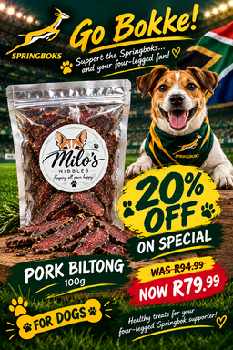 Dog Pork Biltong 100g