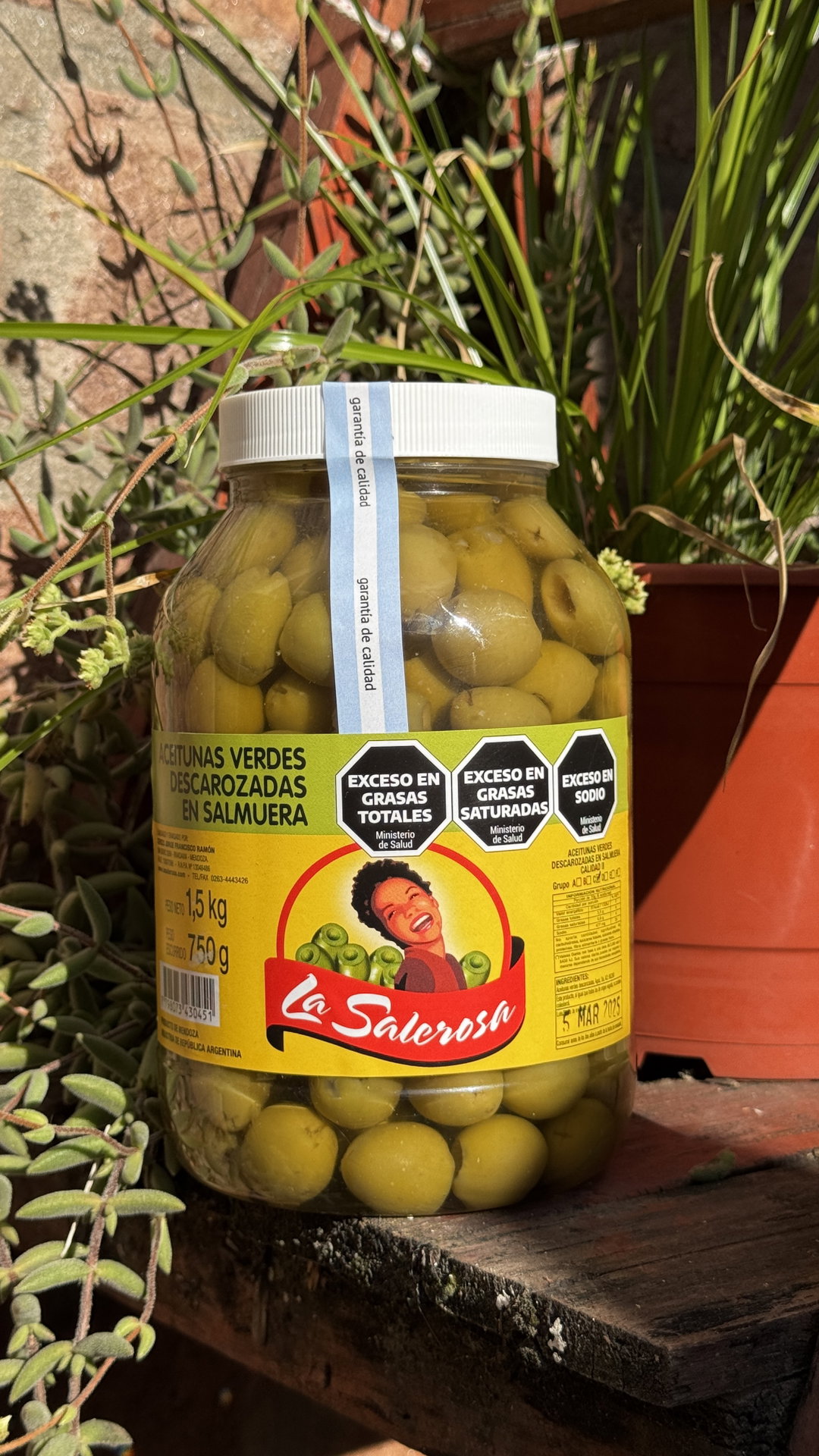 ACEITUNAS VERDES DESCAROZADAS 750GR