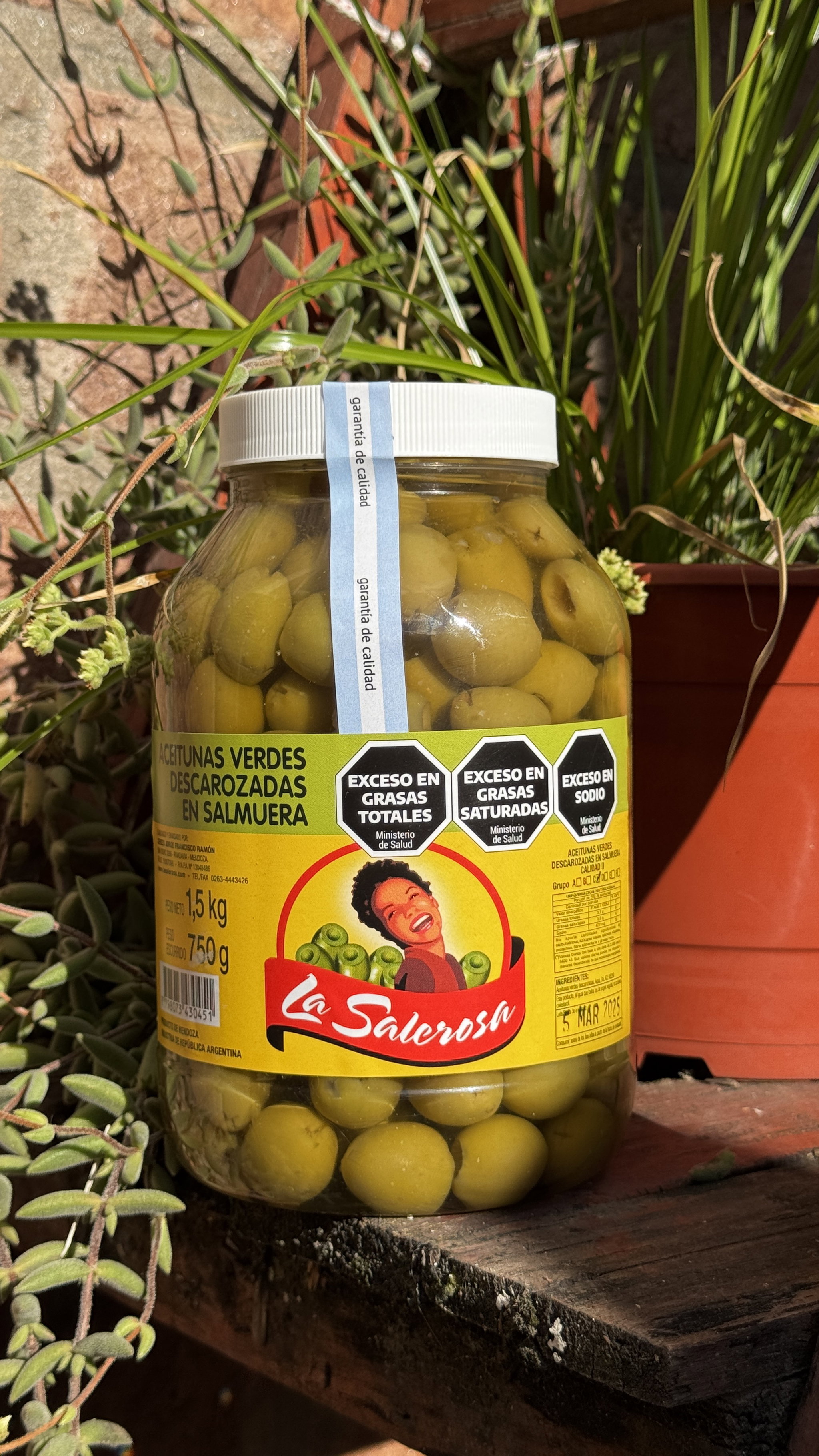 ACEITUNAS VERDES DESCAROZADAS 750GR_0