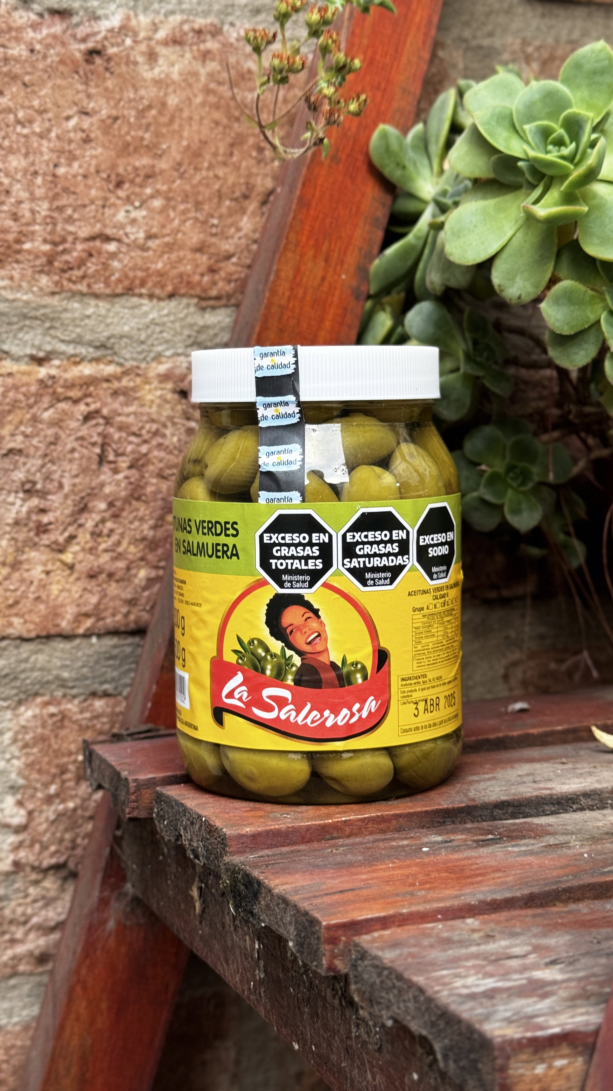 ACEITUNAS VERDES CON CAROZO 500GR_0