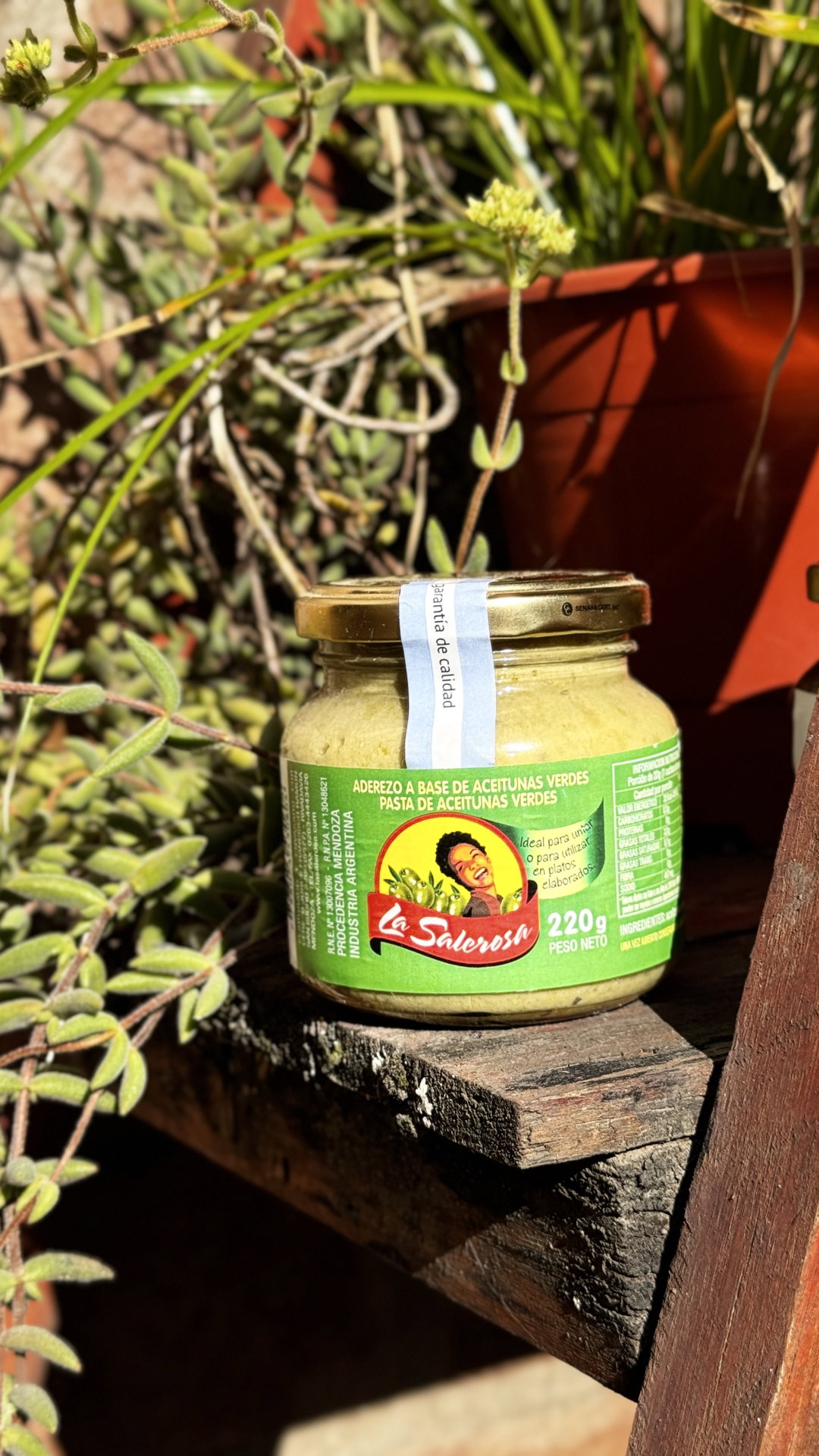 PASTA DE ACEITUNAS VERDES LA SALEROSA 220GR