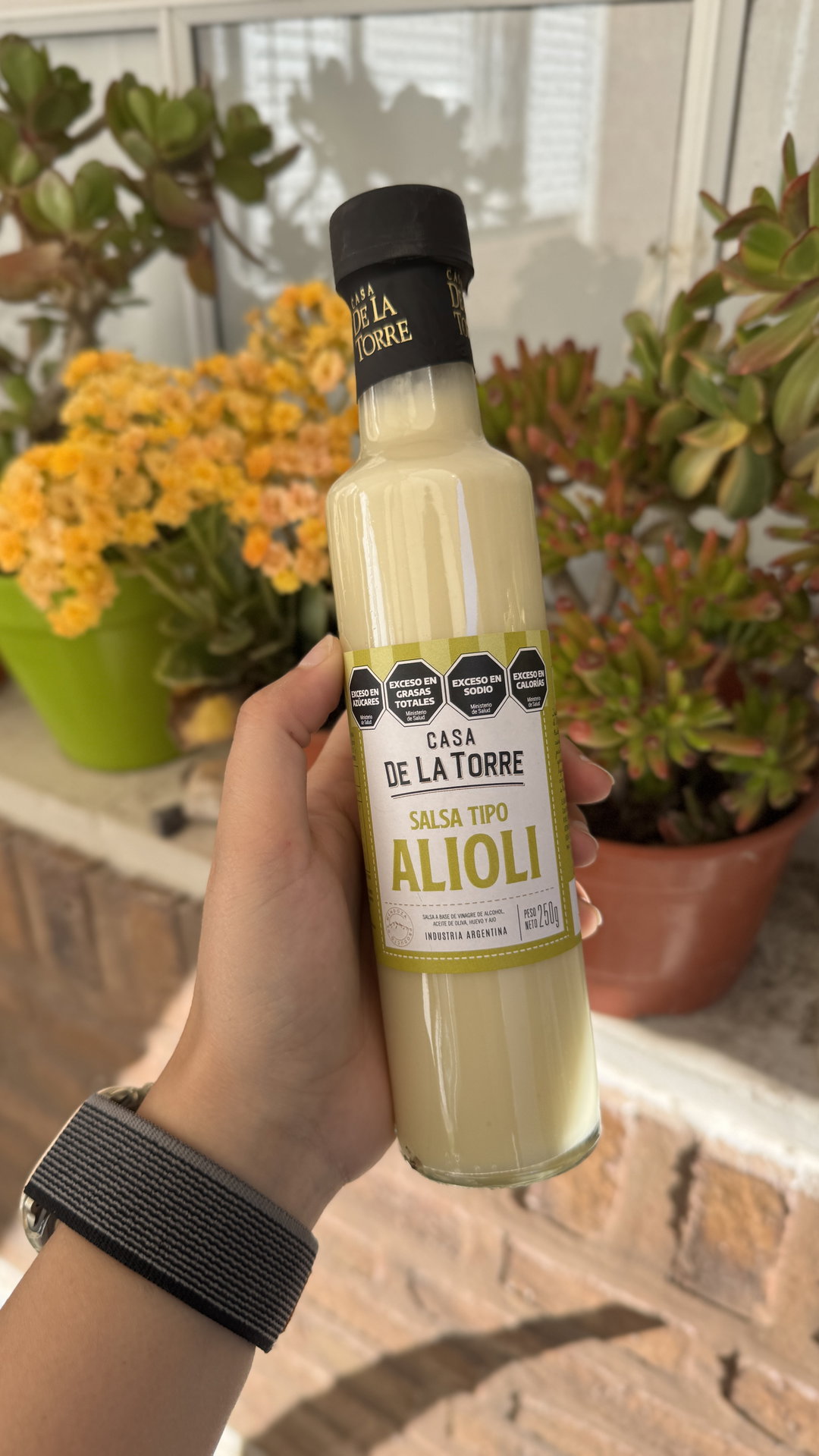 SALSA ALIOLI