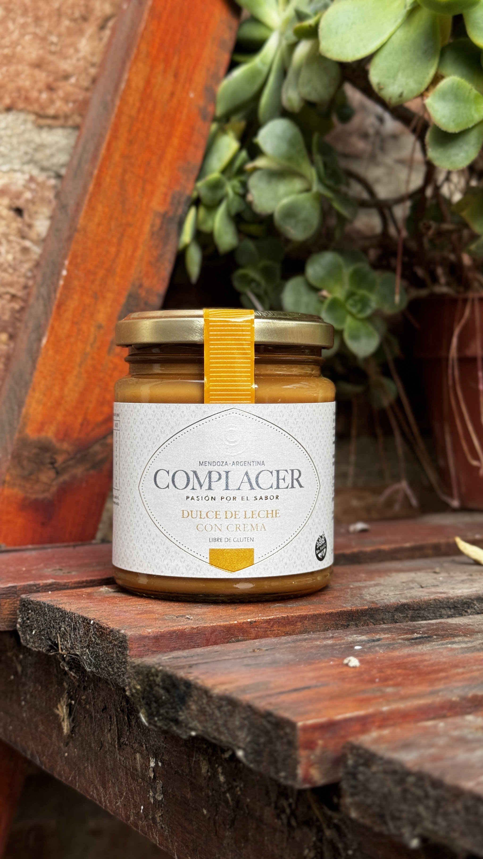 DULCE DE LECHE DOBLE CREMA_0