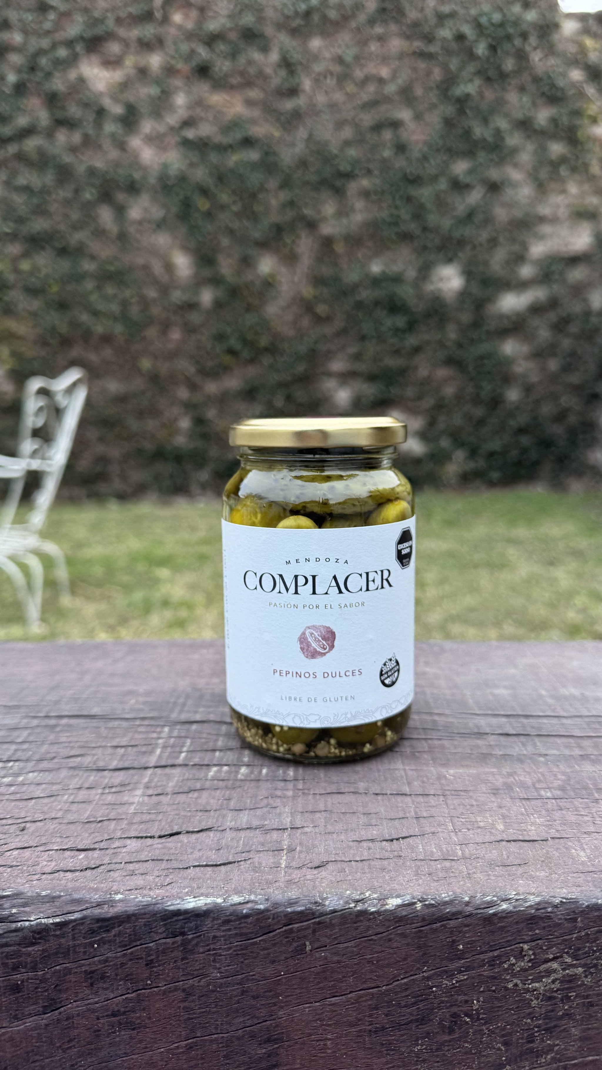 PEPINITOS AGRIDULCES CONDIMENTADOS_0
