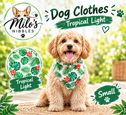 Tropical Design Clothing 
