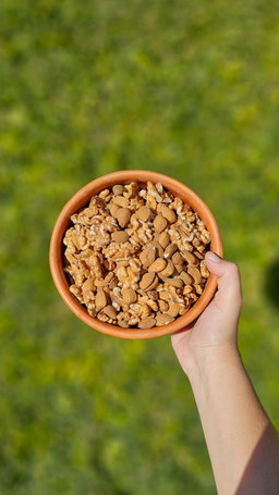 MIX NUECES Y ALMENDRAS 450GR
