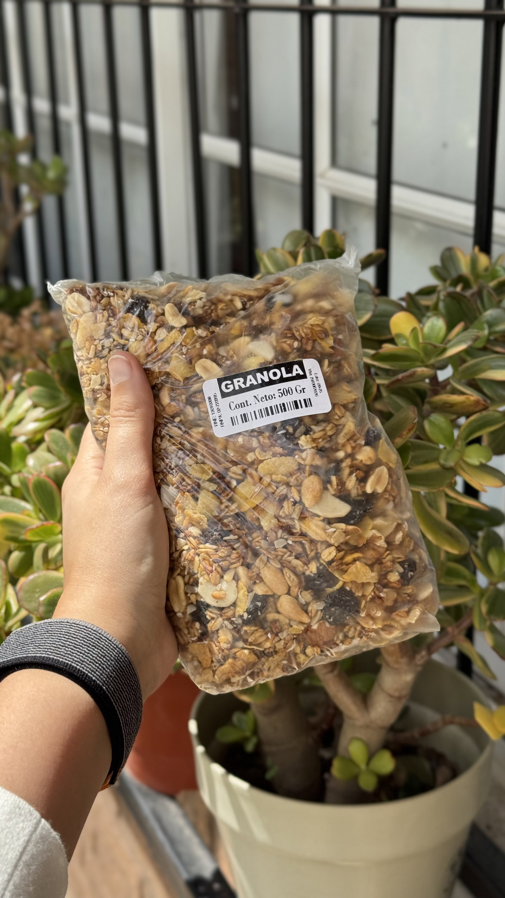 GRANOLAS 500GR_0