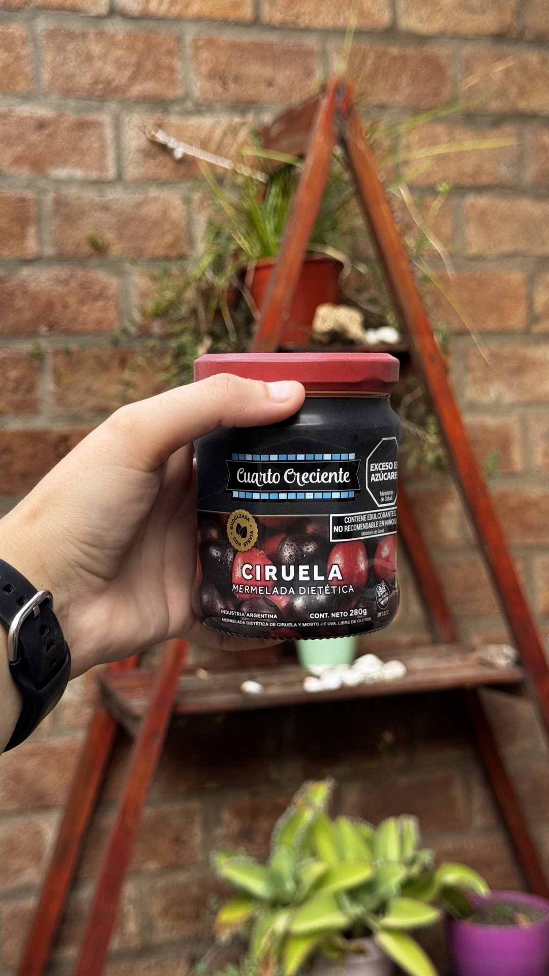 MERMELADA DIETETICA CUARTO CRECIENTE DE CIRUELA