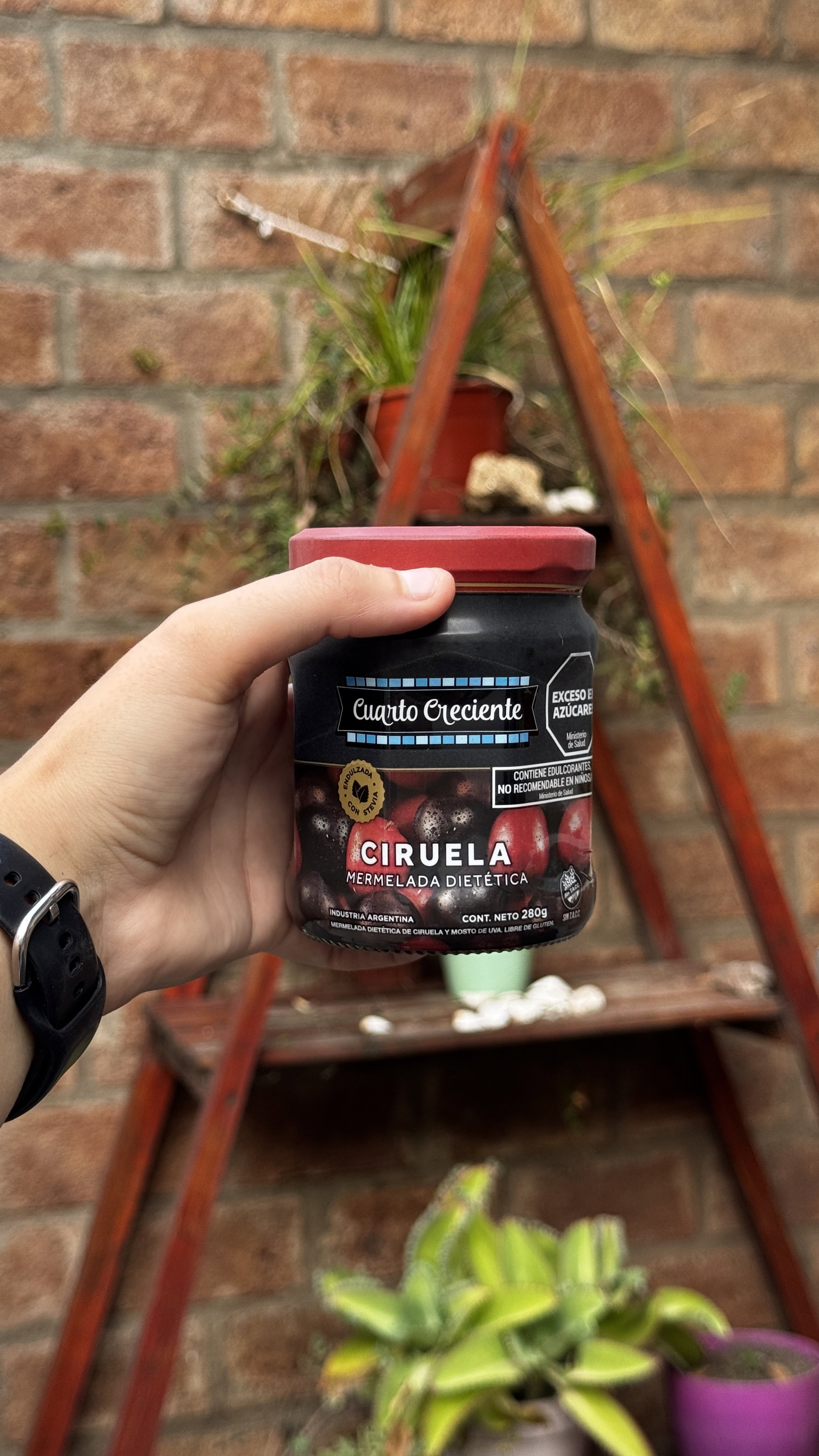 MERMELADA DIETETICA CUARTO CRECIENTE DE CIRUELA_0